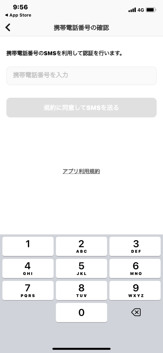 セルペイ現金化手順③